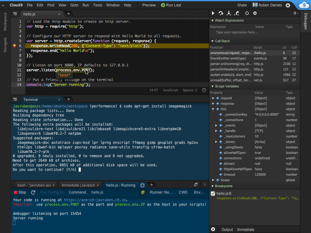 C9 IDE