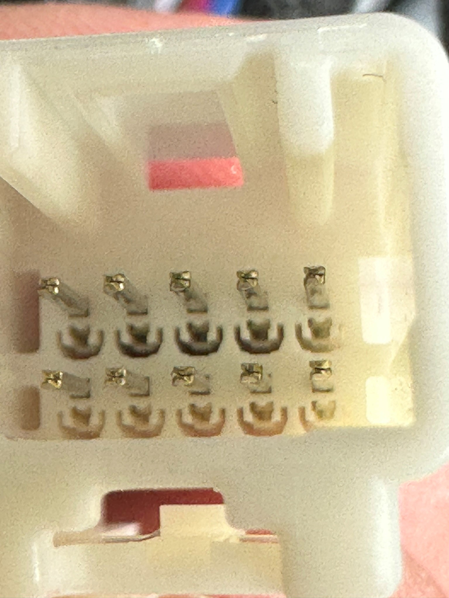 White Plug Pins