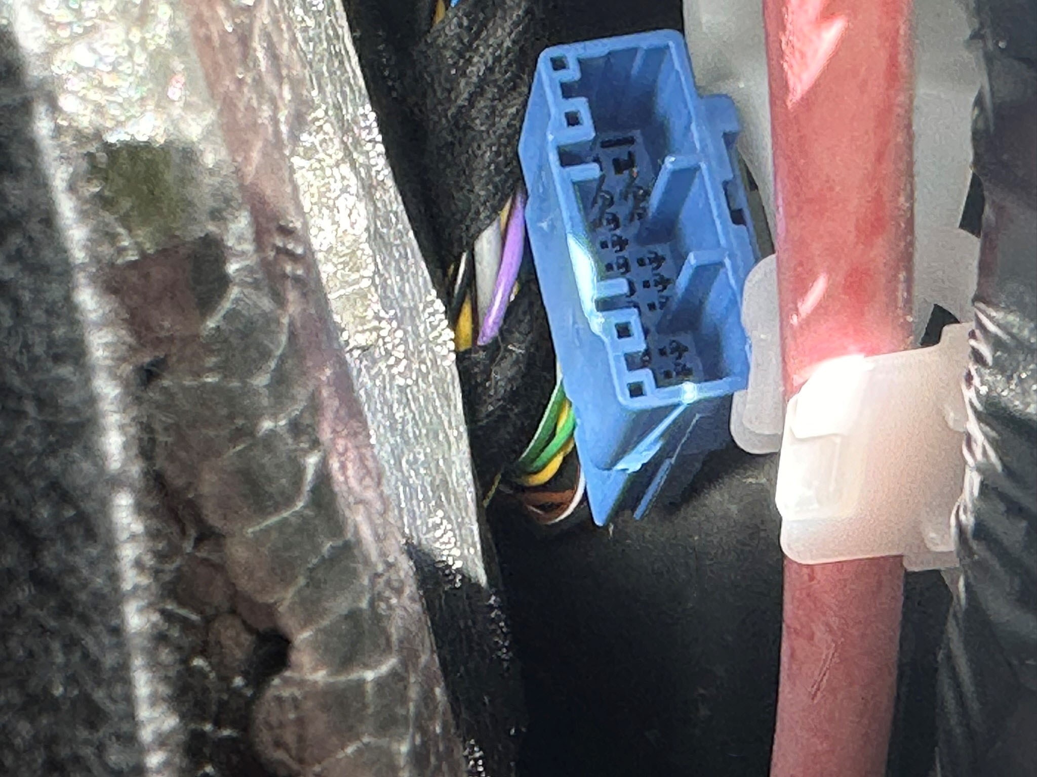 Data Plug Plugged In