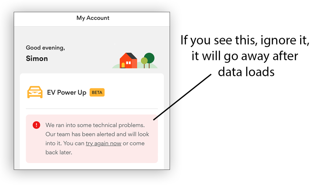 Momentary Error while data loads.