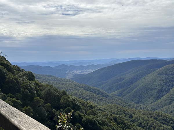 -31.917696,151.483194