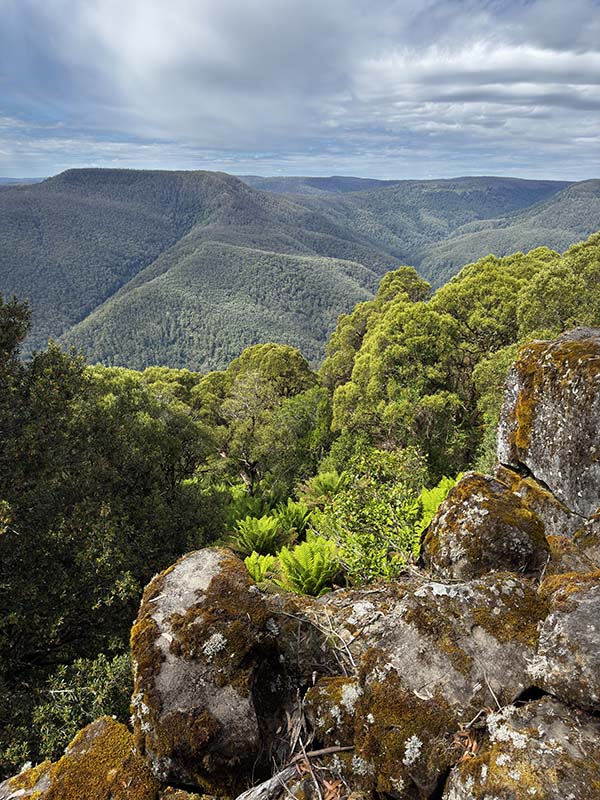 -31.9134938,151.5033444